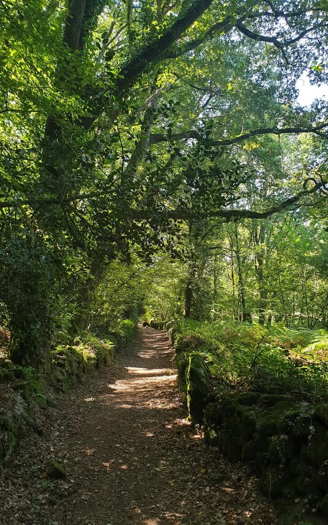 Circuit Des Popinettes Questembert