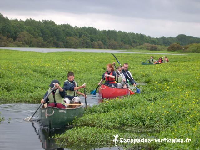 Canoe Ile Aux Pies Escapades Verticales 02