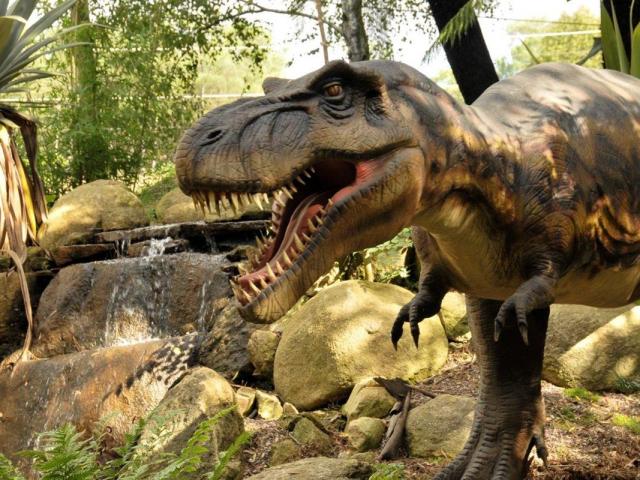 Dinosaure Tropical Parc 2