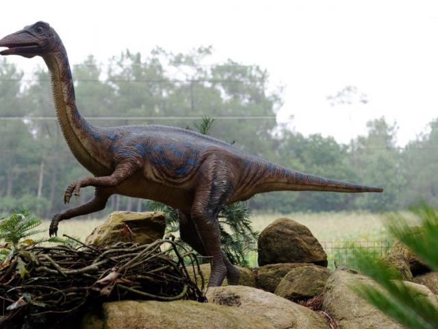 Dinosaure Tropical Parc