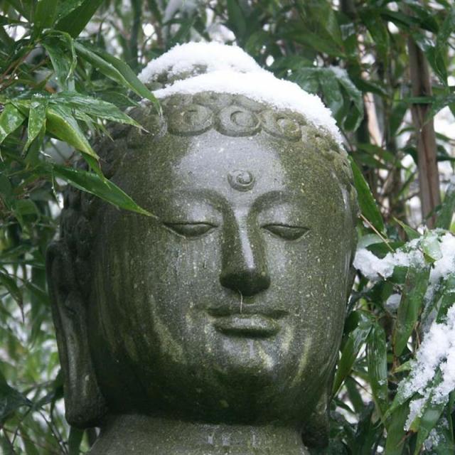 Thai Garden Tropical Parc 2