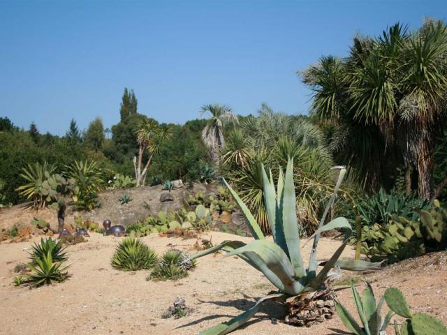 Jardins Mexicain Tropical Parc