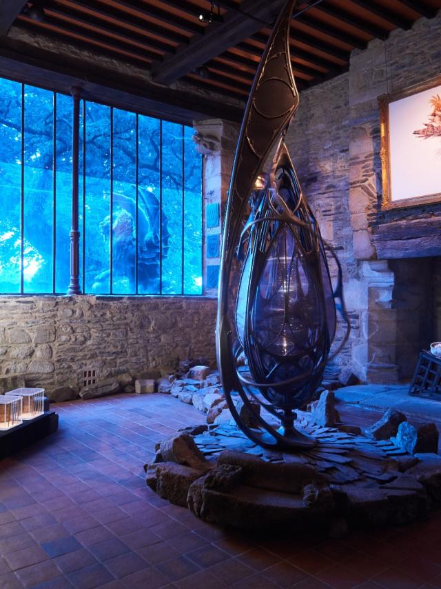 Naïa Museum Galerie Art Rochefort En Terre (rb) (19)