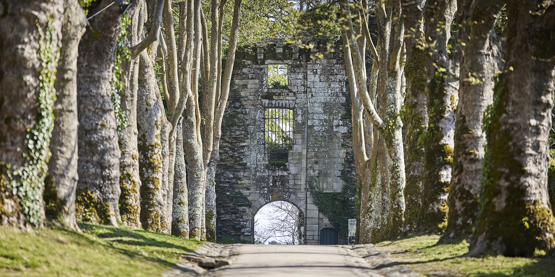 Le château d'origine de Rochefort-en-Terre