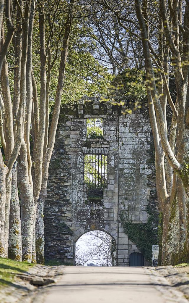 Le château d'origine de Rochefort-en-Terre
