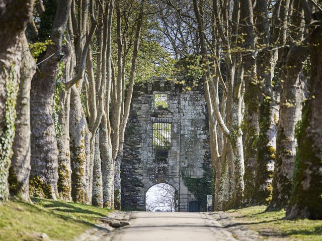 Le château d'origine de Rochefort-en-Terre
