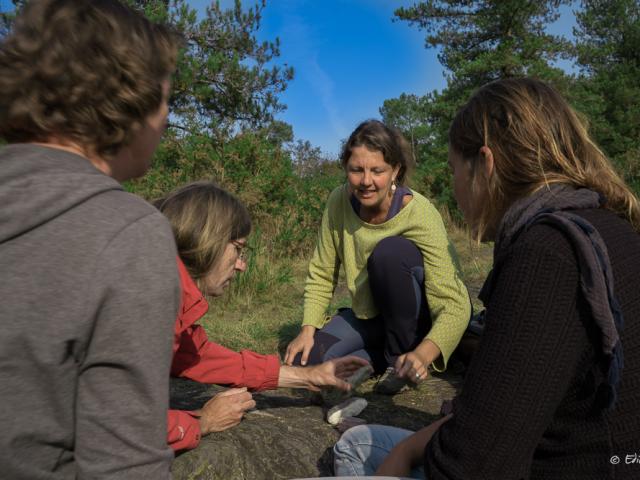 Saute Ruisseaux Animation