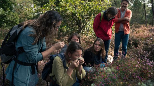 Saute Ruisseaux Balade Nature Grees (6)