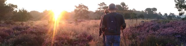 Saute Ruisseaux Lever De Soleil