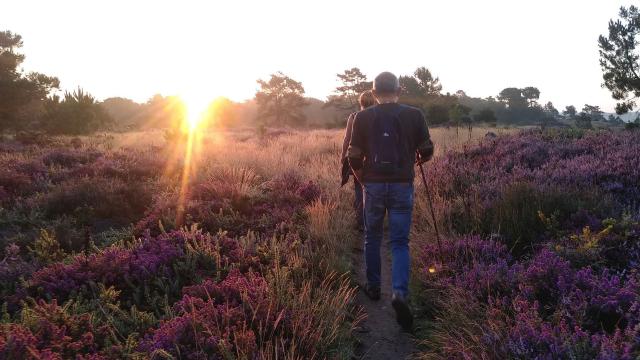 Saute Ruisseaux Lever De Soleil