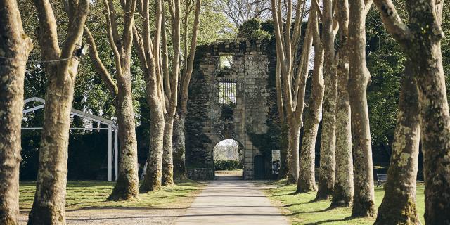 Vestiges Château Rochefort En Terre (3)