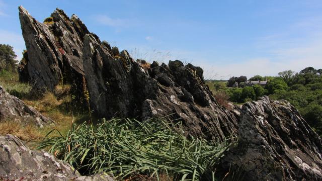 Vue Château Rochefort En Te