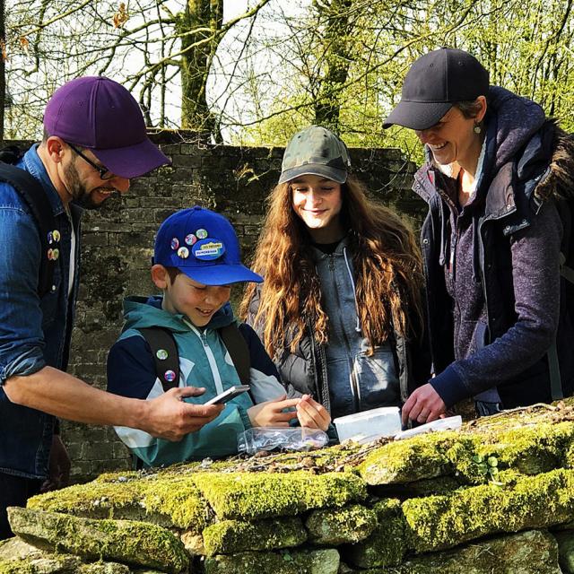 Tresors Du Morbihan Application Famille