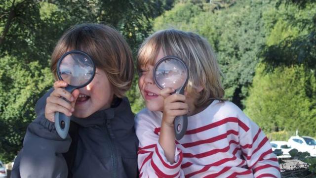 Balade Botanique Saute Ruisseaux