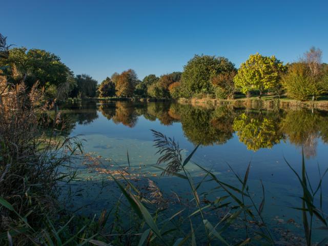 Etang de Lauzach PNR Golfe du Morbihan
