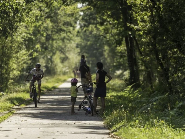 Vélo promenade Molac La voie verte