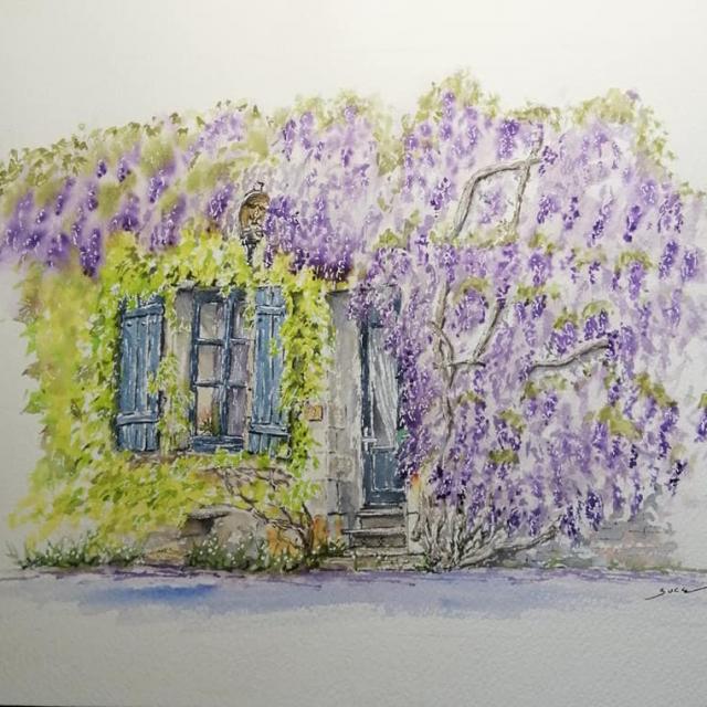 La Glycine De Rochefort En Terre