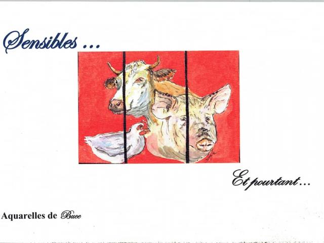 Sensibles Et Pourtant Aquarelles De Buce