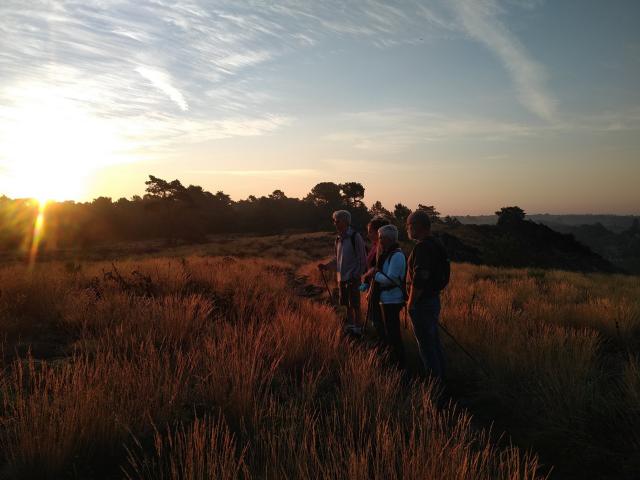 Balade Au Lever Du Soleil Saute Ruisseux