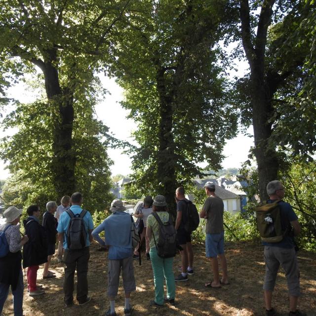 Bretagne Buissonnière