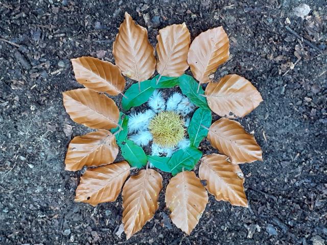 Land Art Saute Ruisseaux