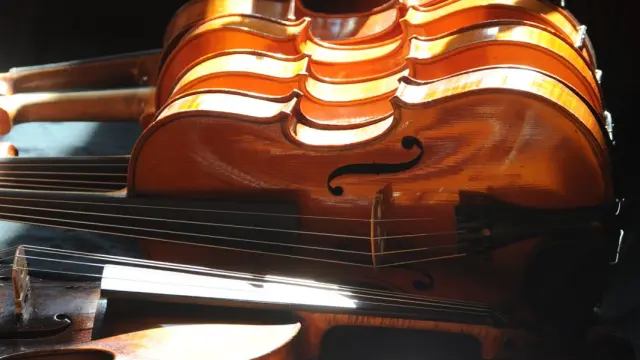 Festival Rochefort En Eire 2022 (salon Luthiers)