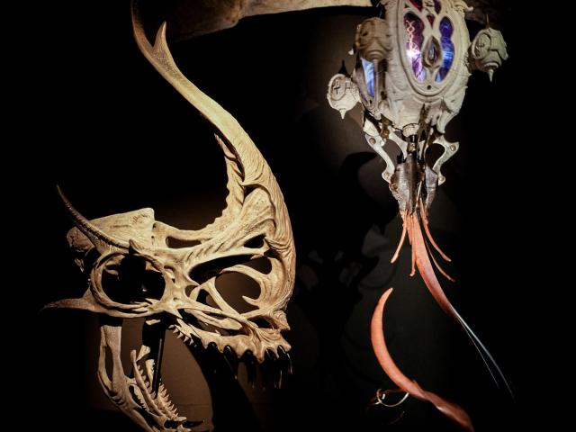 Naïa Museum Rochefort En Terre Musée Art