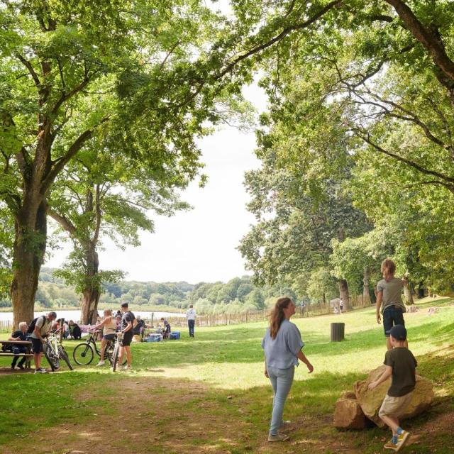 Moulin Neuf Aventure