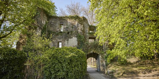 Vestiges du Château de Rochefort-en-Terre