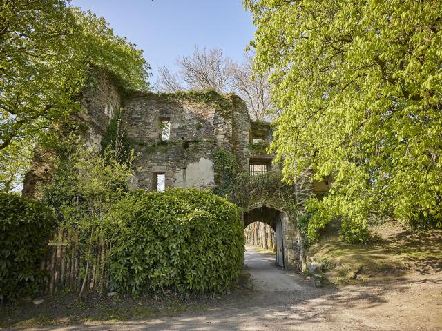 Vestiges du Château de Rochefort-en-Terre