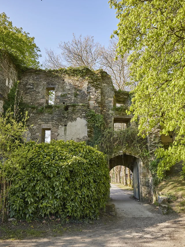 Vestiges Château Rochefort-en-Terre