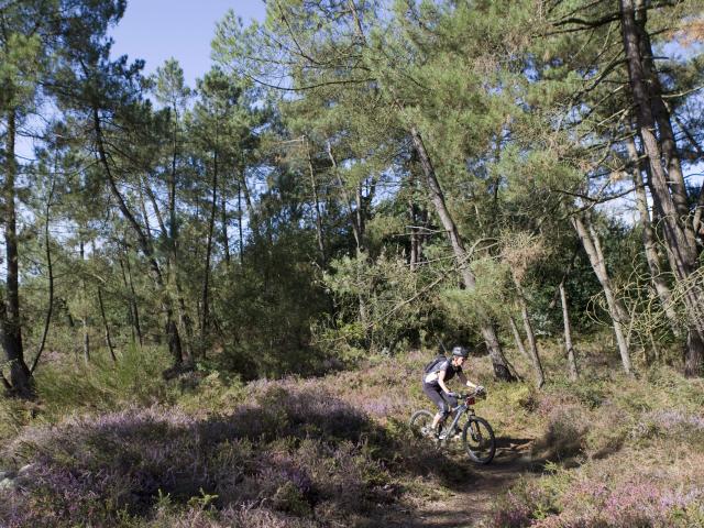 VTT sur les Grées