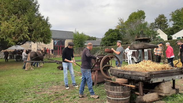 Fête de La Châtaigne à Limerzel