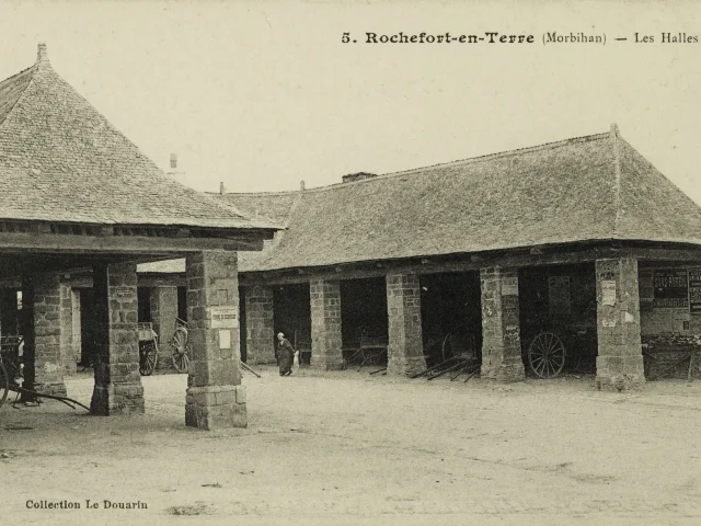 Halles De Rochefort En Terre Carte Postale