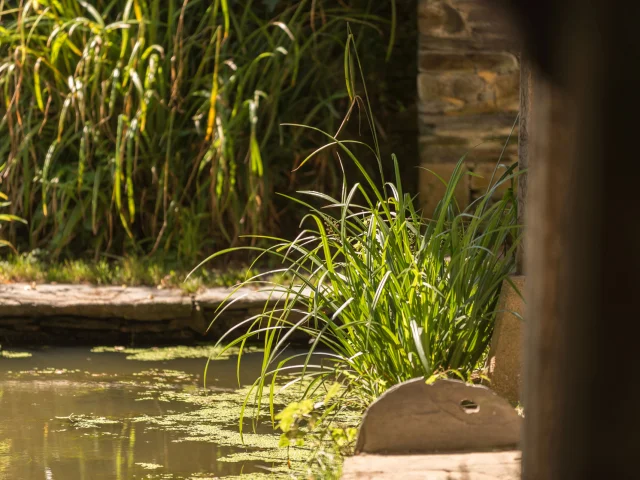 Lavoir Etang Rochefort En Terre A Gui 2