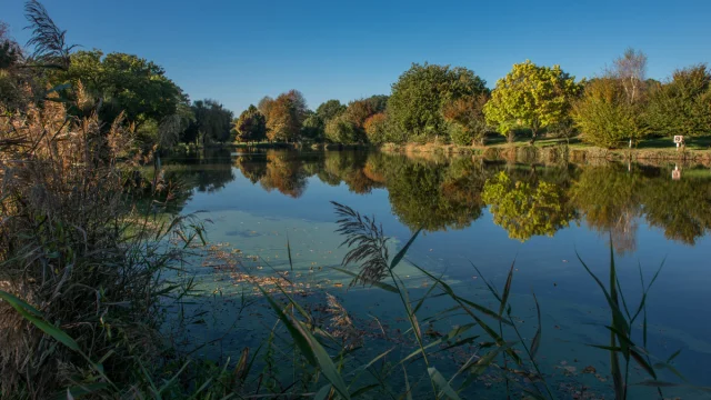 Scopidrone Lauzach Etang