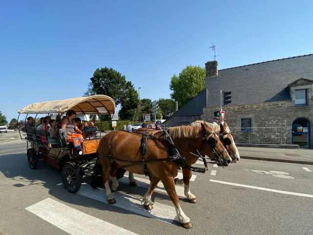 Balade en calèche à Questembert