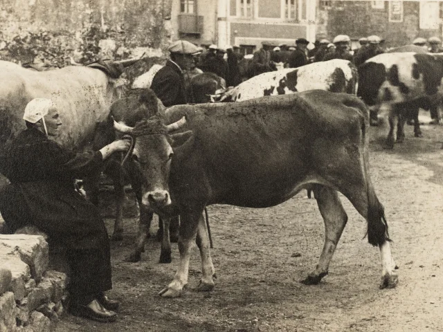 Foire De Rochefort En Terre
