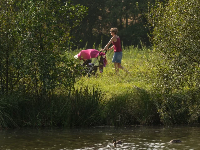 Etang du Moulin Neuf Balade - Balade en poussette