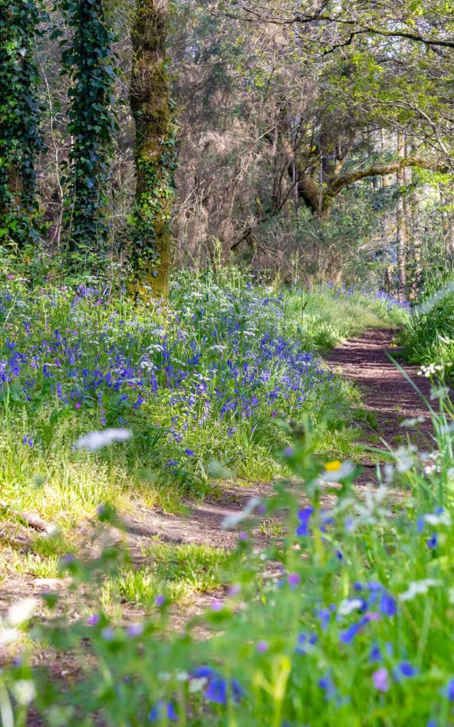 Balade Rando La Vraie Croix