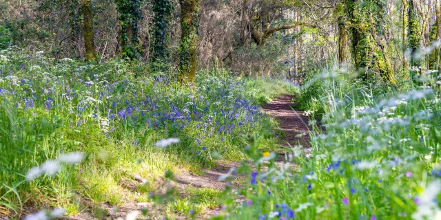 Balade Rando La Vraie Croix