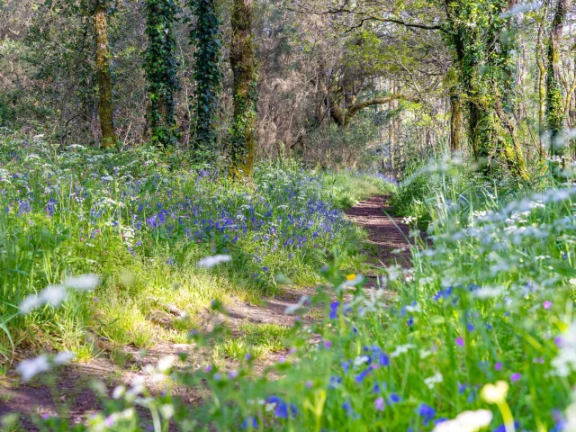 Balade Rando La Vraie Croix