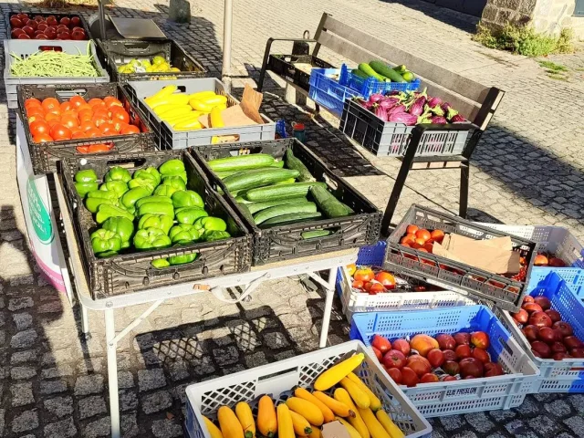 Marché de Producteurs Rochefort-en-Terre le dimanche matin