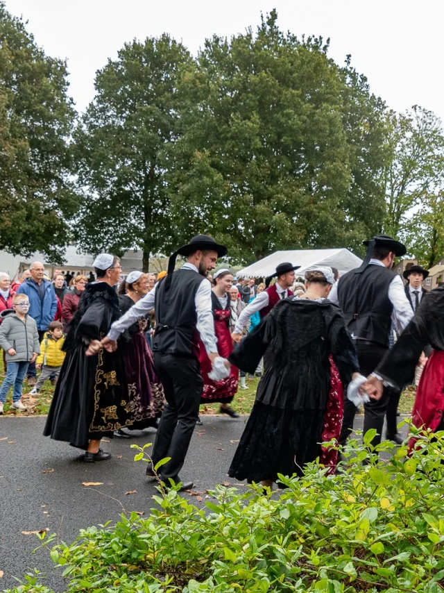 Fête de La Châtaigne Limerzel