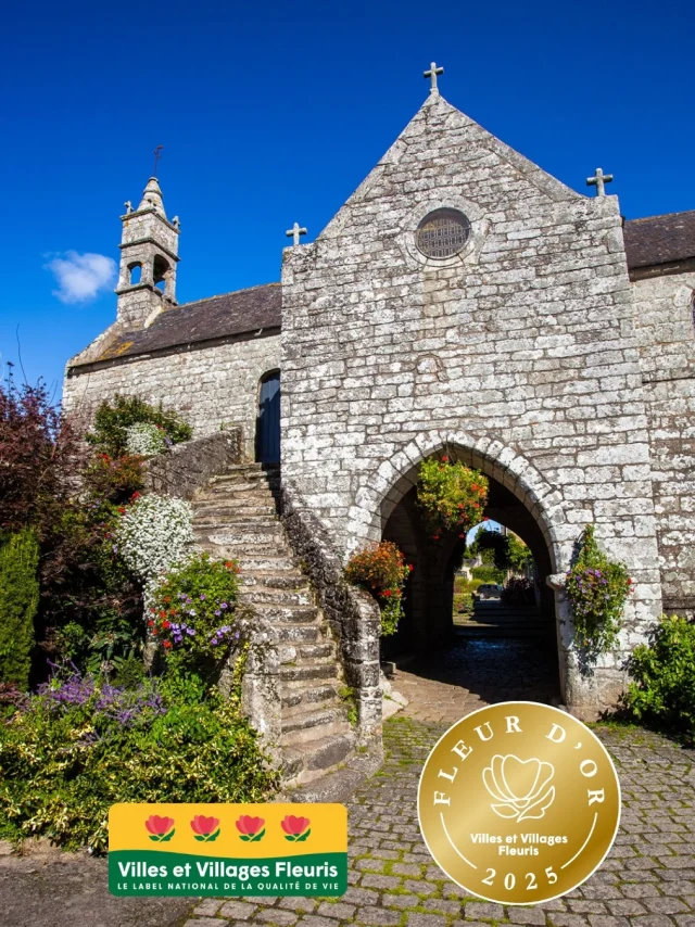 La Vraie-Croix Flor de Oro Y 4 Flores