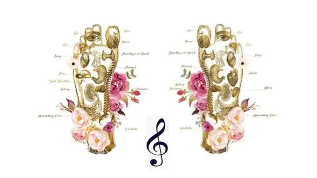 Clesol2 Geoffrey Le Brech