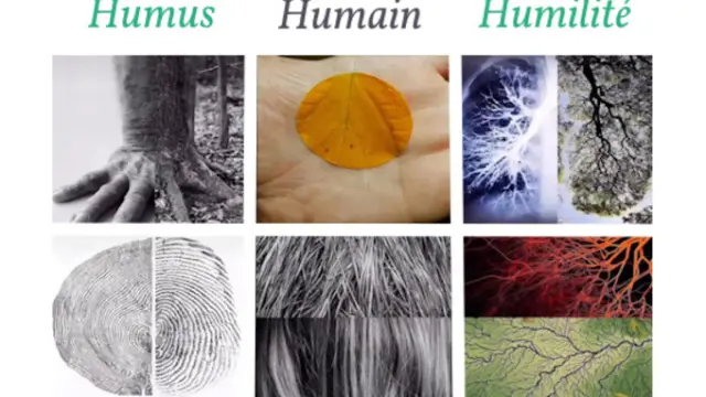 Humus Geoffrey Le Brech