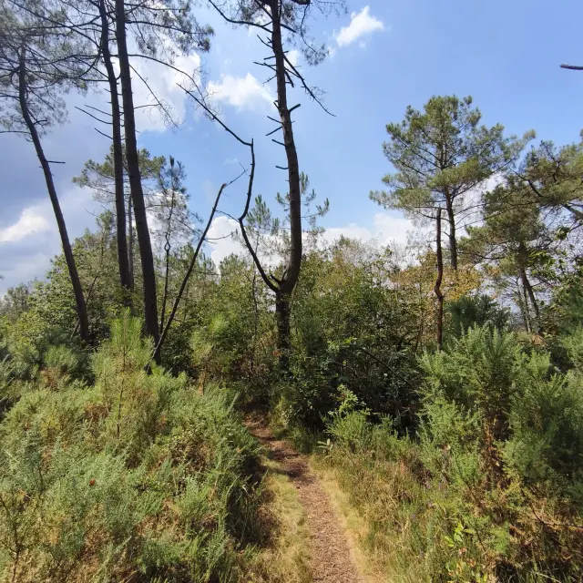 Chemin Circuit du Lindeul Molac